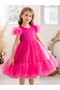 Girls Magenta A-Line Tulle Dress with Ruffle Details - 3