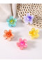 Set of 5 - Flower Mini Hair Clips - 2