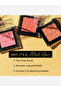 Sensational Chic Script Blush - SNS305 8g - 4