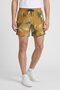 Men Allover Print Basic Shorts, Multicolor