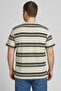Men Crew Neck Short Sleeve Stripe T-Shirt, Multicolor - 4