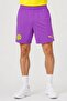 Men Sportswear Fit Training Shorts, Purple