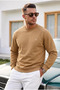 Caramel Plain Sleeve Regular Men's Sweatshirt
