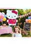 Hello Kitty Concept Balloon Set - 9 Piece Hello Kitty Birthday Set - 4
