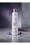 Clean Color Freeze Anti-Yellowing Silver Shampoo for White and Blonde Hair 250ml (Silver Purple Anti Yellow Shampoo) - 3