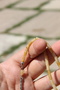 Tasseled 4*7 Mm. Cutting Model Yellow Czechoslovak Crimped Amber Prayer Beads in Various Sizes - 5
