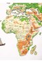 Wooden World Map Wall Decor Travel Wall Art Home Decoration UAE, Physical - 6