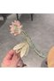 Gold Color Pink Enamel Dragonfly, Water Lily, Flower and Pearl Metal Hair Clip - 2
