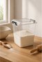 2-Pack 21 Liter Transparent Food and Food Storage Box with Lockable Lid - 2