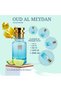Oil-Based Perfume for Men – Inspired by Virgin Island Water – Alcohol-Free, Tropical Citrus, Sweet & Creamy NOTES – 6–8 Hr Wear – Exotic Summer & Beach Fragrance for Vacations (200 ML) - 2