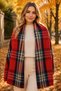 Plaid Pattern Long Winter Shawl 190X70 cm - 2