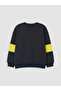 Esvab • Modern & Distinctive Licensed Printed Boys' Thick Sweatshirt - 4