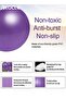 Mini Extra Thick Yoga and Pilates Ball Stability Exercise Ball for Core Strength Anti-Burst Exercise Ball Extra Sturdy Construction Ideal for Beginners Advance Users - 3