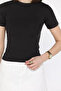 Women's Crew Neck Lycra Modal Fabric Crop Top Blouse - 3