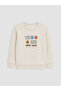Esvab • Modern & Distinctive Zero Roba Collar Printed Boys' Thick Sweatshirt 2-Pack - 2