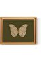 Signtouch Retro Vintage White Butterfly Green Wall Art Gold Frame 40x60 cm