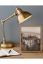 Signtouch Fashion Animals Go Vintage Entryway Wall Art Gold Frame 50x70 cm - 2