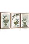 Signtouch Canva Forest Sun Nature Wall Art 3-Piece Outer Frame 30x40 cm