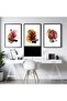 Signtouch Office Wall Art Set of 3 Outer Frame 50x70 cm