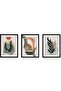 Signtouch Boho Mountain Canvas Wall Art Set of 3 Outer Frame 50x70 cm - 3