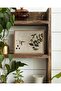 Signtouch Botanical Portrait Nature Floral Wall Art 3-Piece Black Frame 30x40 cm - 2