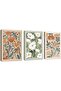 ALAYRA Beach Coastal Ocean Pampas Landscape Framed Wall Art 3-Piece 60x80 cm