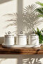 Motto Porcelain Spice Rack Set with 3 Trays