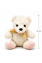 25 cm Plush Teddy Bear Soft Cute Teddy Bear Gift