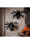 Halloween 2-Pack Black Spider - 2