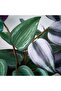 Artificial Potted Plant with Paper Foliage, Green, 10 cm Pot, 28 cm Long - 3