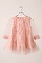 Girls' Evening Dress 3D Rose Floral Tulle Long Sleeve Baby Birthday Dress 9 Months-6 Years - 4