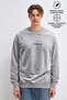 Men's Premium Cotton Loose Anthracite Printed Sweatshirt