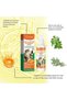Cat & Kitten Deterrent Spray, Safe Natural Cat Deterrent Outdoor, Cat Pee Deterrent Spray Indoor for Urine Marking Furniture, Humane Effective Training Aid Anti-Scratch for Cats and Kittens 10 - 5