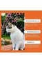 Cat & Kitten Deterrent Spray, Safe Natural Cat Deterrent Outdoor, Cat Pee Deterrent Spray Indoor for Urine Marking Furniture, Humane Effective Training Aid Anti-Scratch for Cats and Kittens 10 - 3