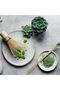 Japanese Matcha Green Tea Set of 5Pcs Tea Making Tools Unique Matcha Set - 7