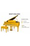 Gold Grand Piano 152cm, Brand New Acoustic Piano with 88 Weighted Keys, 3 Pedals & Matching Bench, High Gloss Metallic Gold Luxury Piano for Home, Music School, Hotel & Performance - 7