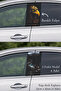 Post-Coating Foil Printing That Adds a Different Touch to Your Vehicle