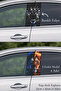 Post-Coating Foil Printing That Gives Your Vehicle a Unique Look