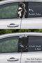 Post-Coating Foil Printing That Supports Vehicle Styling