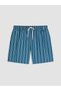 Lcw Swimwear Petrol Short Length Striped Men's Swim Shorts - 5