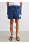Xside Navy Blue Short Size Spongebob Printed Men's Swim Shorts - 4