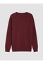 Lcwaikiki Classic Claret Red Crew Neck Men's Knitwear Sweater - 5