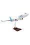737-800 /100 Ölçek