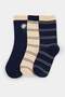 Navy Blue-Ecru 3-Piece Cotton Blend Floral-Striped Jacquard Knitted Socks Thmaw27Co00016
