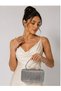 Platinum Color Laser Fabric Evening Dress Portfolio Clutch Women's Handbag for Handheld Use and Long Strap Use - 2