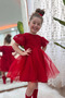 My Little Girl's Tulle Evening Dress with Lace Detail - Red - 4