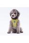 Cactus Air-mesh Harness Cat Dog Harness - 8