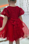 My Little Girl's Tulle Evening Dress with Lace Detail - Red - 5