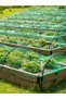 2mx10m Green Garden Netting Green Woven Mesh Protect Plants Fruits Flowers Trees Stretch Fencing Dur - 8
