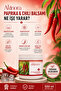 Red Pepper Massage Gel - Intensive Care Cream with Warming Effect Chili Balsam (5X500Ml) - 2